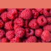 冷凍莓果系列