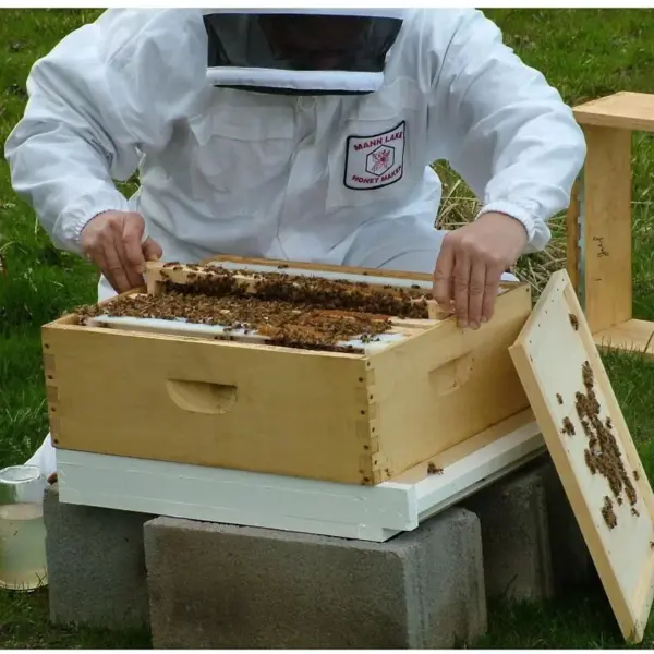 肌膚首選 | 蜂膠膏 2oz