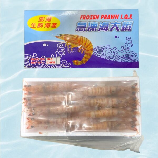 澎湖海大蝦(明蝦)