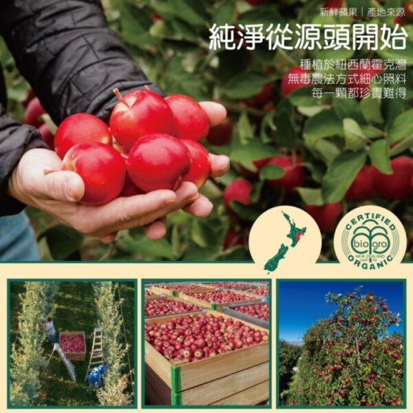 蘋果優格乾(12g/包)