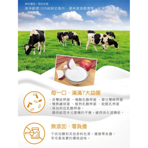 蘋果優格乾(12g/包)